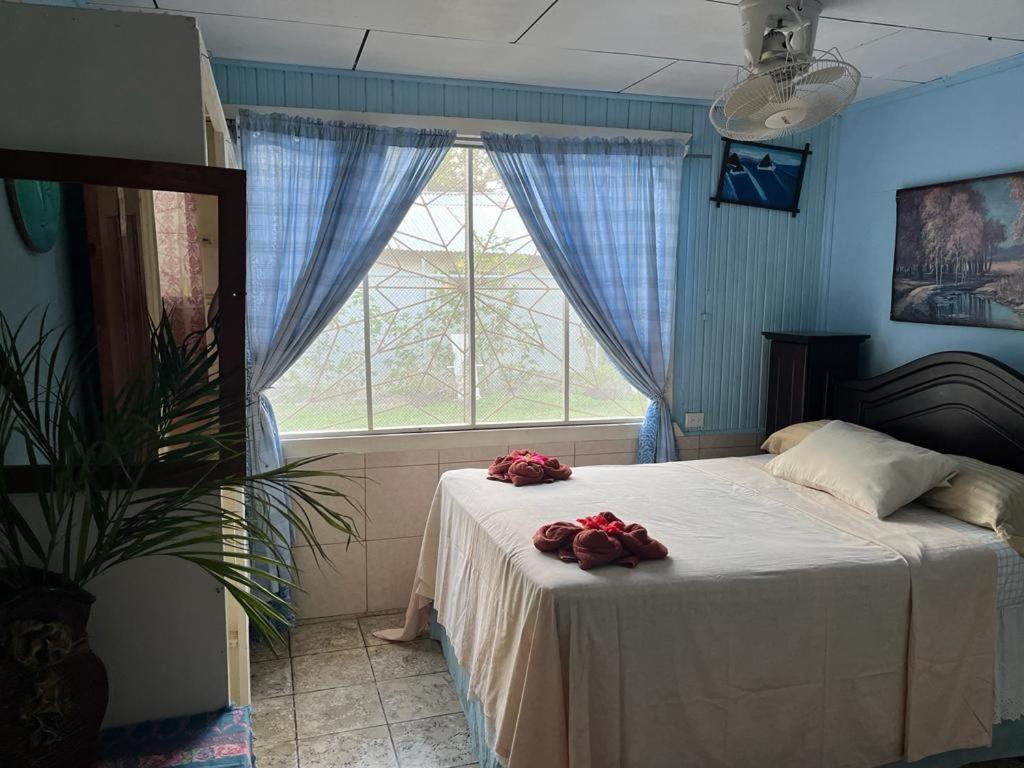 Hotel Margarita Sierpe 외부 사진